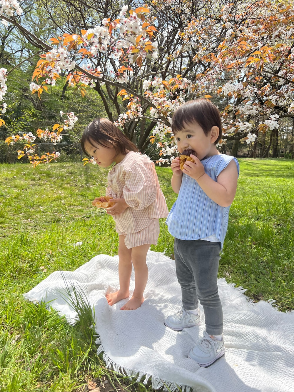 「春コーデ、リンクコーデ、親子コーデ、ベビーコーデ、男の子、花見、シャツ、デニム、ブルックスブラザーズ、JOHN LAWRENCE SULLIVAN」｜「JOHN LAWRENCE SULLIVANのアイテム（デニムパンツ、ブルー系）」を使った、Chisato さん（レディース・167cm）の春コーディネートの3枚目の写真