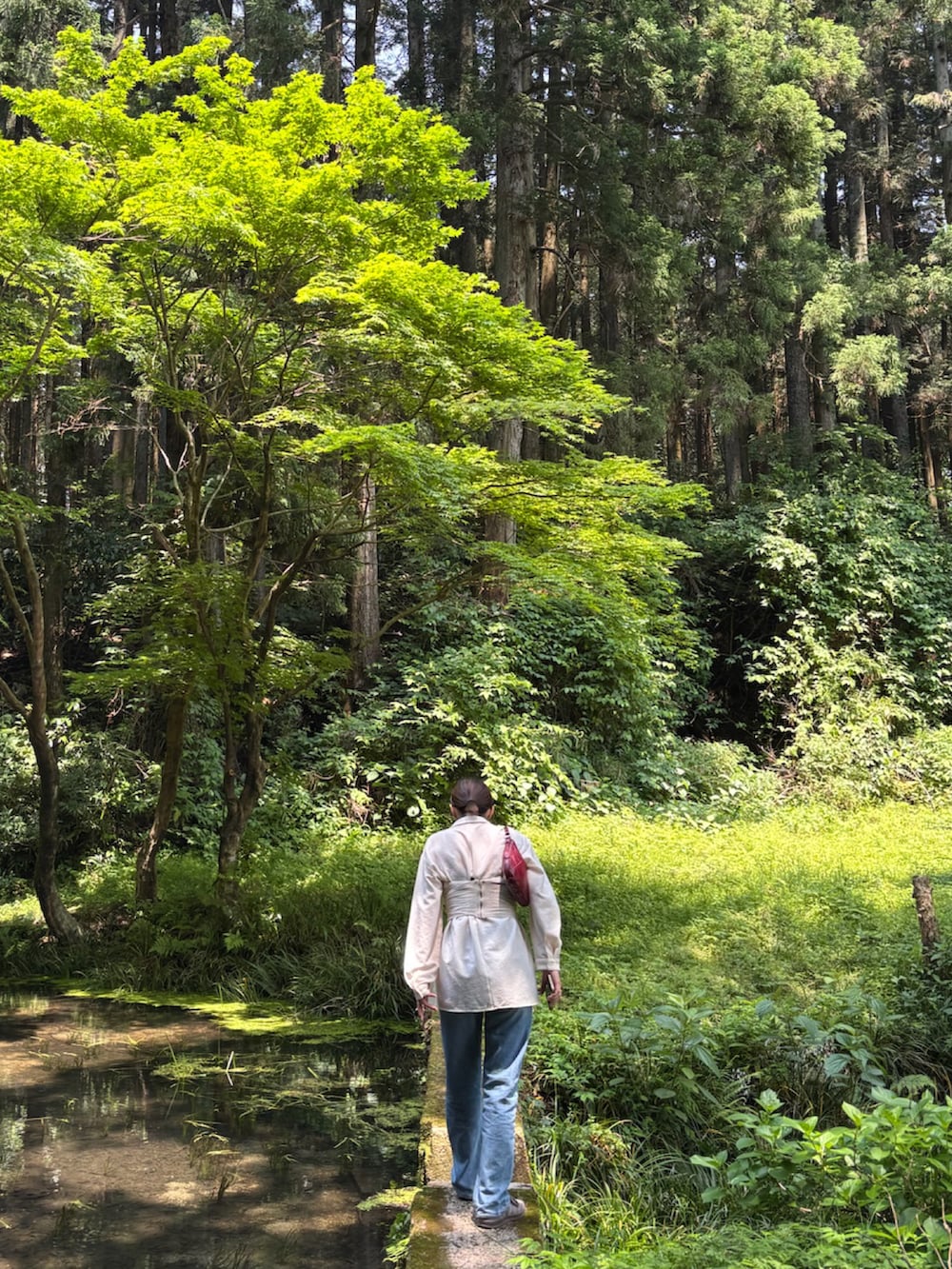 ベージュ系のその他トップス、ホワイト系のシャツ/ブラウス、ブルー系のデニムパンツを着用したレディースの夏コーディネートの2枚目の写真