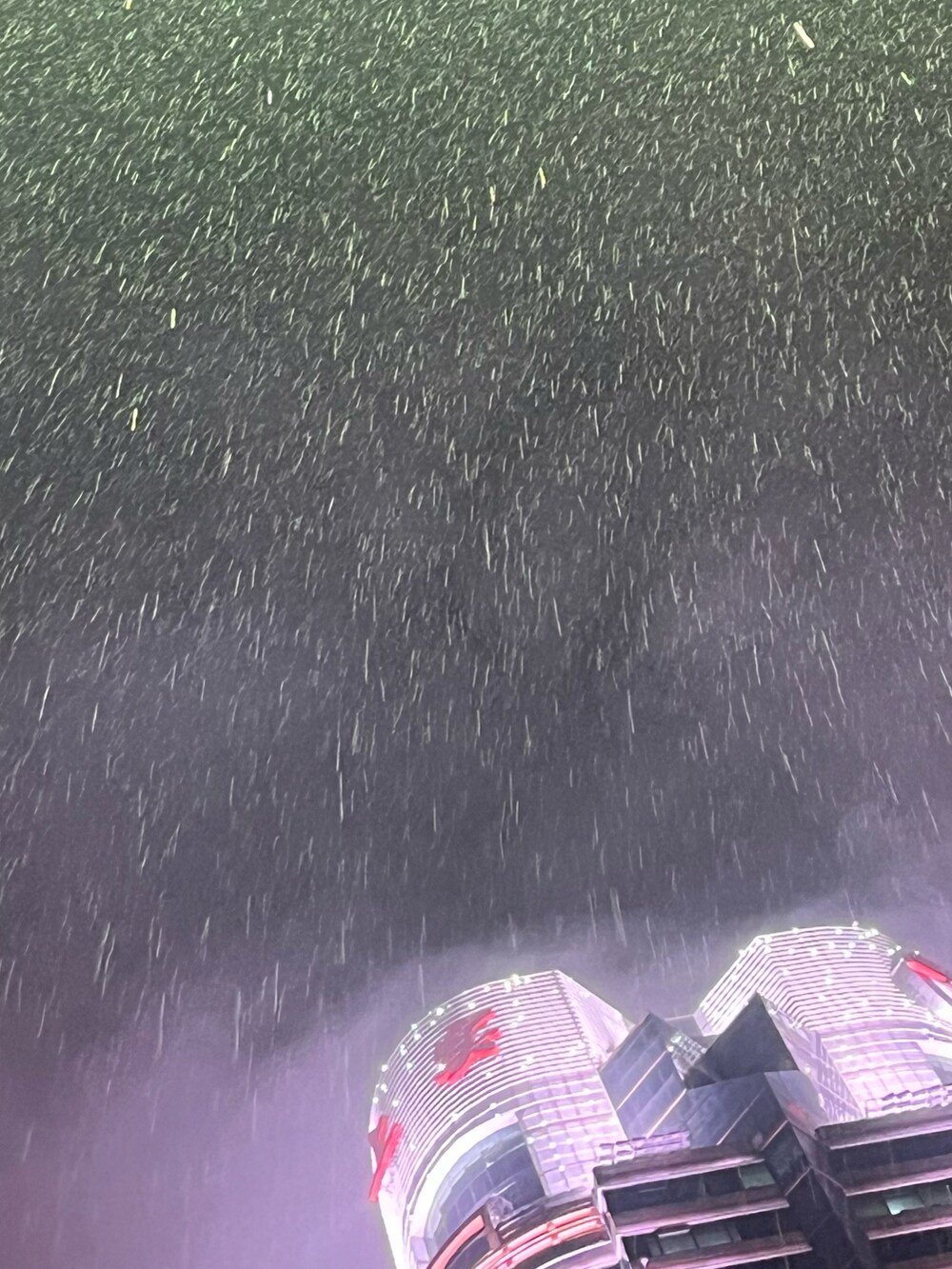 パープル系のパンツ、ブラック系のスニーカー、ベージュ系のトレンチコートを着用したレディースの春コーディネートの4枚目の写真