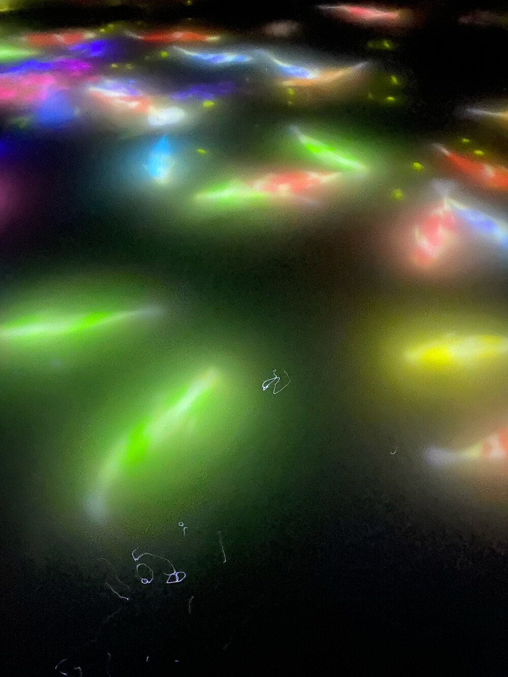 ブラック系のパンツ、シルバー系のネックレスを着用したレディースの夏コーディネートの3枚目の写真