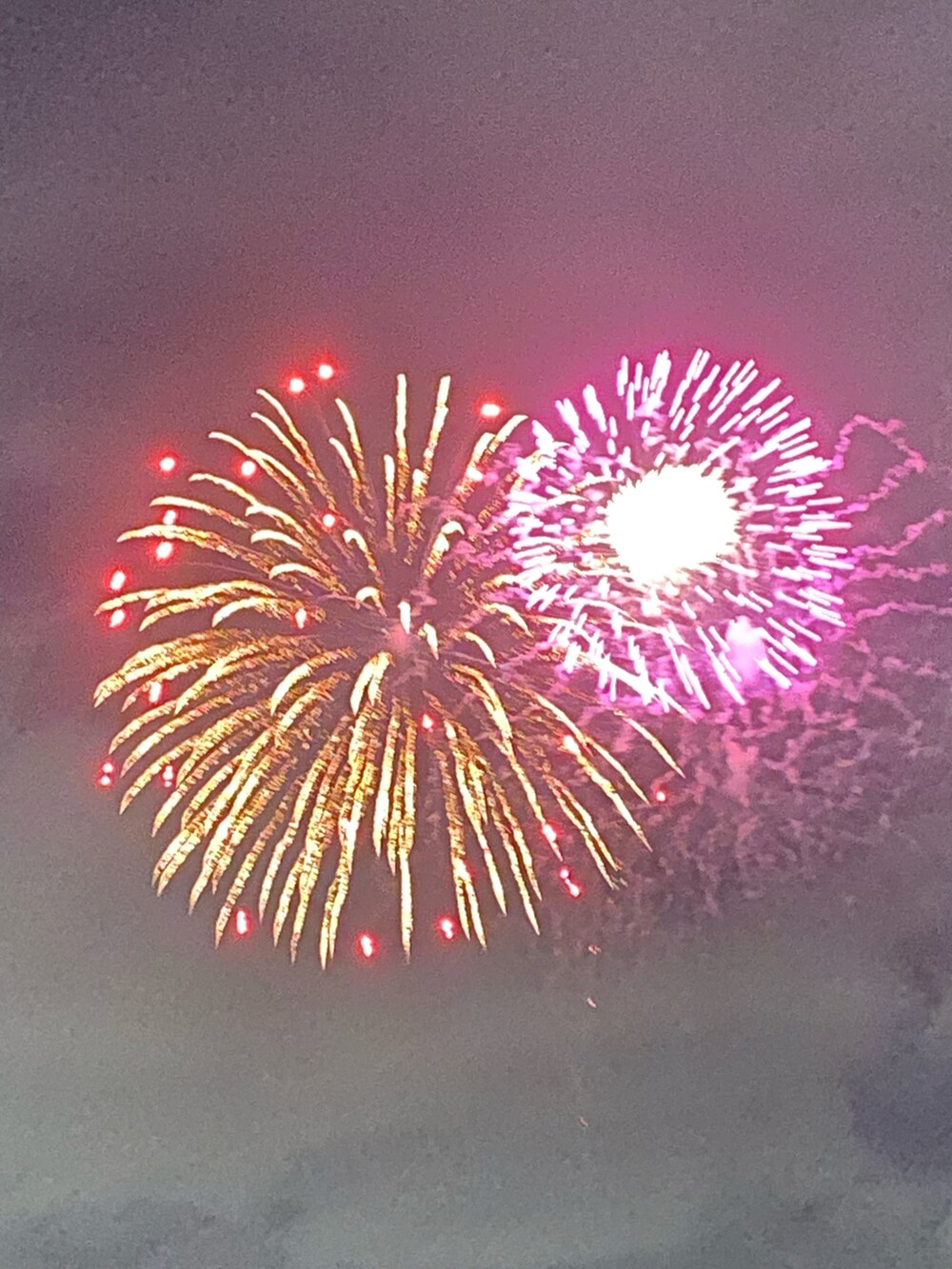 グリーン系のシャツ/ブラウス、ピンク系のパンツ、ピンク系のハンドバッグを着用したレディースの夏コーディネートの2枚目の写真