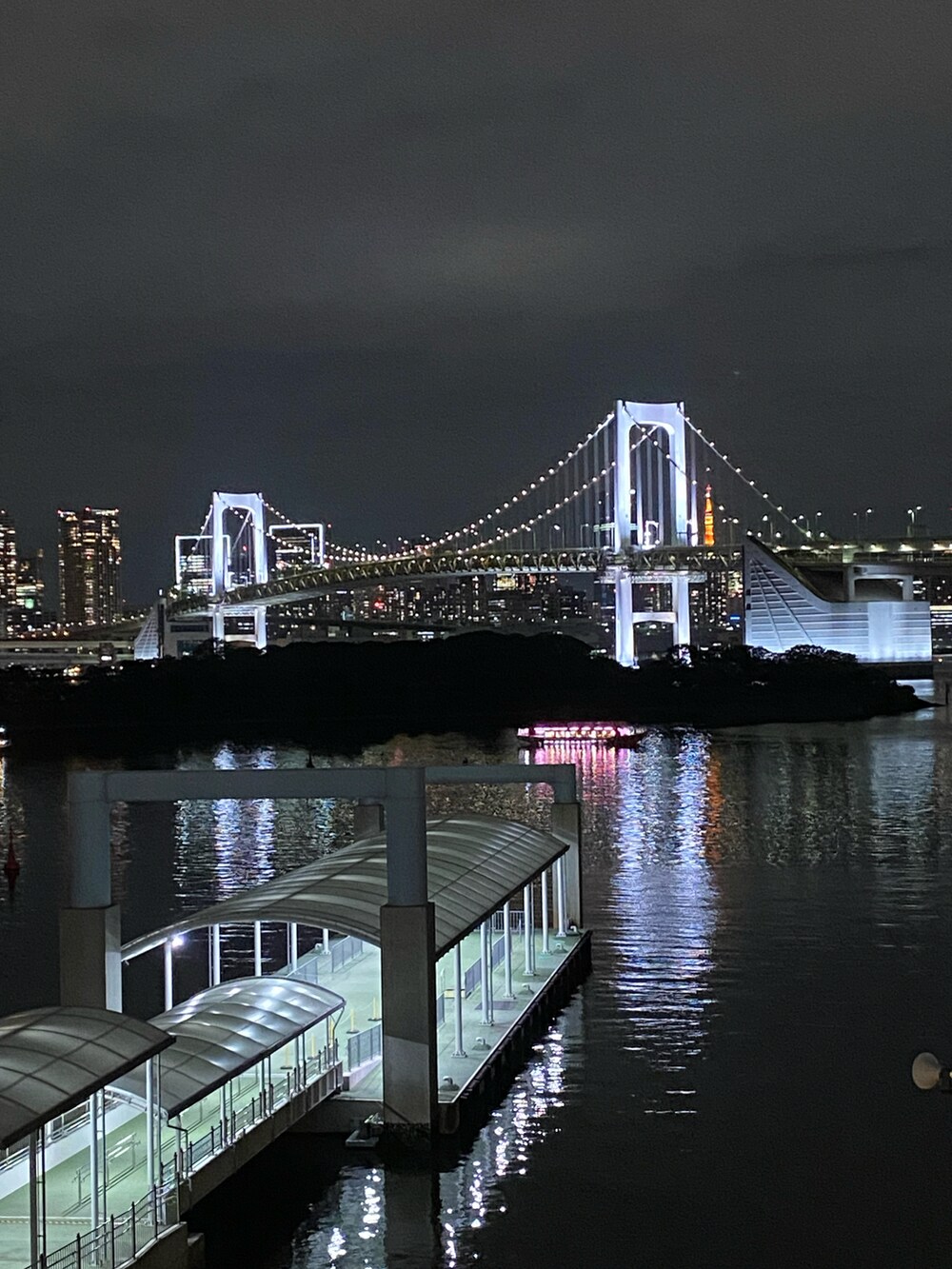 ブラック系のシャツ/ブラウス、ブラック系のTシャツ/カットソー、ブラック系のパンツを着用したレディースの夏コーディネートの5枚目の写真