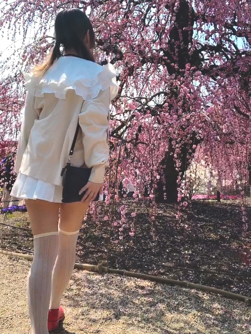 ホワイト系のカーディガン/ボレロ、ホワイト系のスカート、ピンク系のドレスシューズを着用したレディースの春コーディネートの4枚目の写真