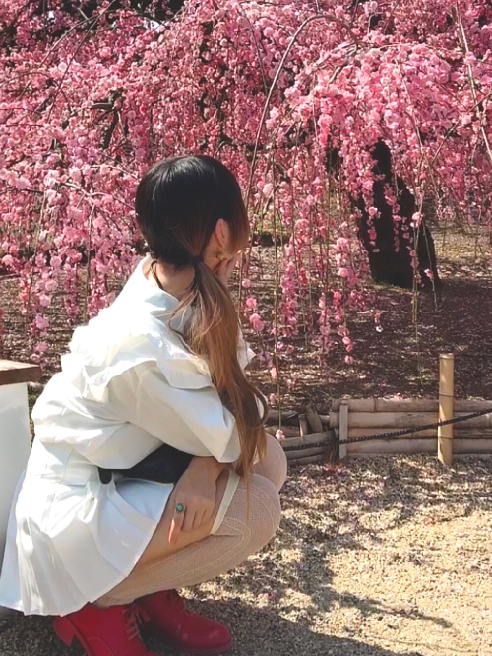 ホワイト系のカーディガン/ボレロ、ホワイト系のスカート、ピンク系のドレスシューズを着用したレディースの春コーディネートの5枚目の写真