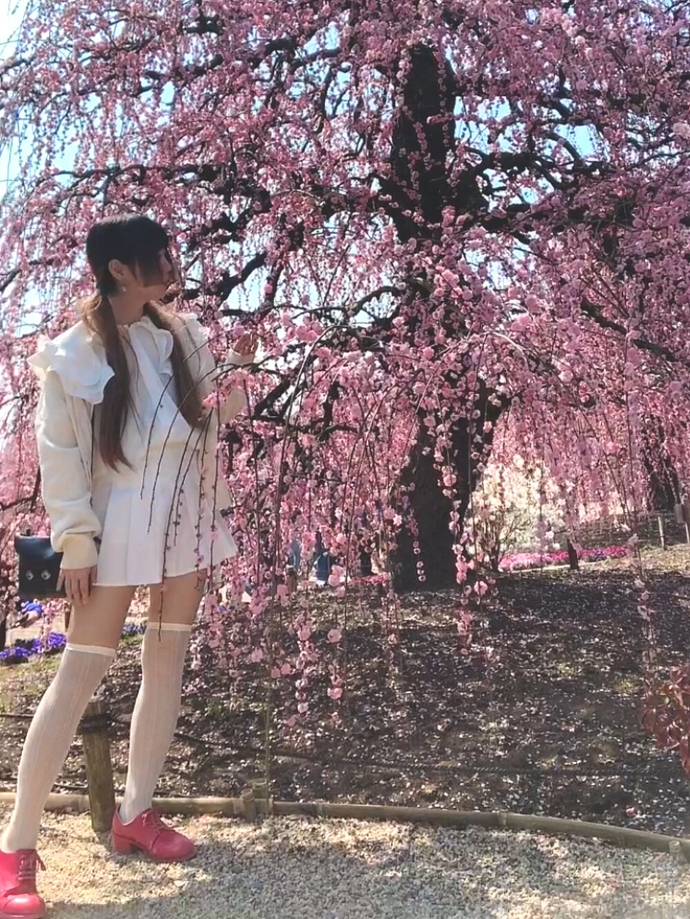 ホワイト系のカーディガン/ボレロ、ホワイト系のスカート、ピンク系のドレスシューズを着用したレディースの春コーディネートの3枚目の写真