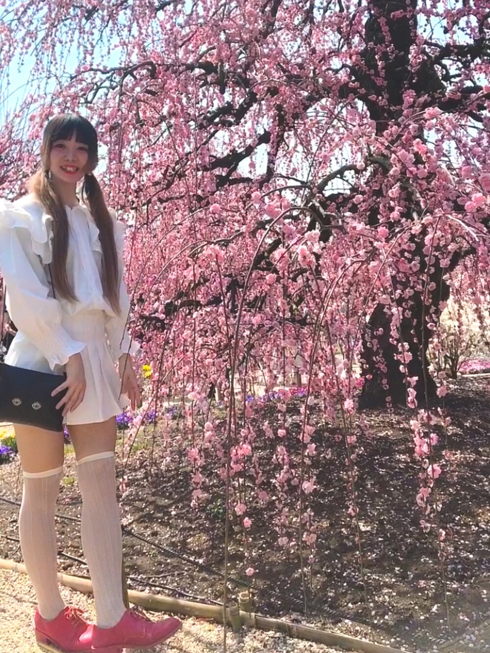 ホワイト系のカーディガン/ボレロ、ホワイト系のスカート、ピンク系のドレスシューズを着用したレディースの春コーディネートの2枚目の写真