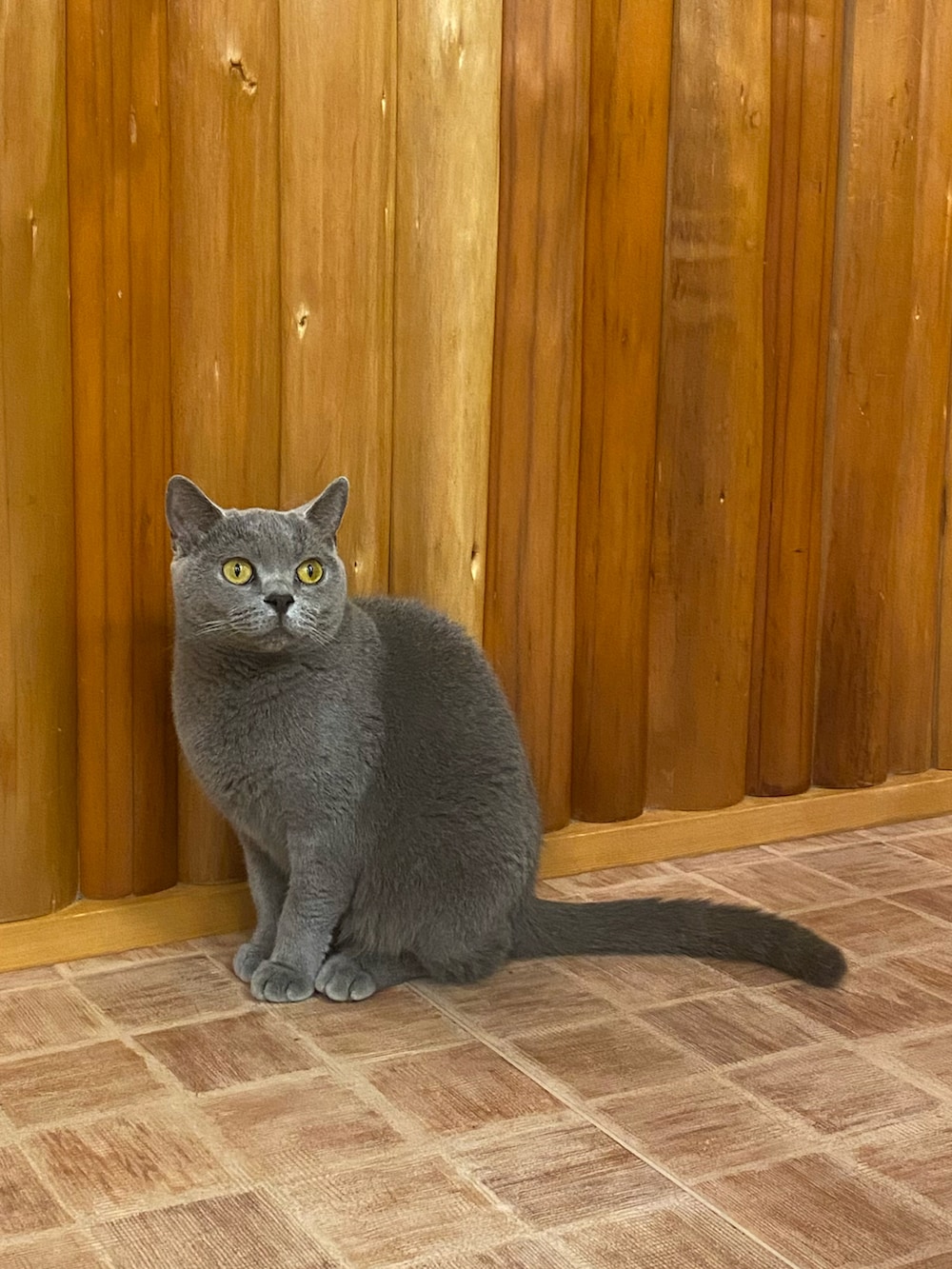 ブラック系のブーツ、ブラック系のその他パンツ、その他のニット/セーターを着用したレディースの秋コーディネートの2枚目の写真