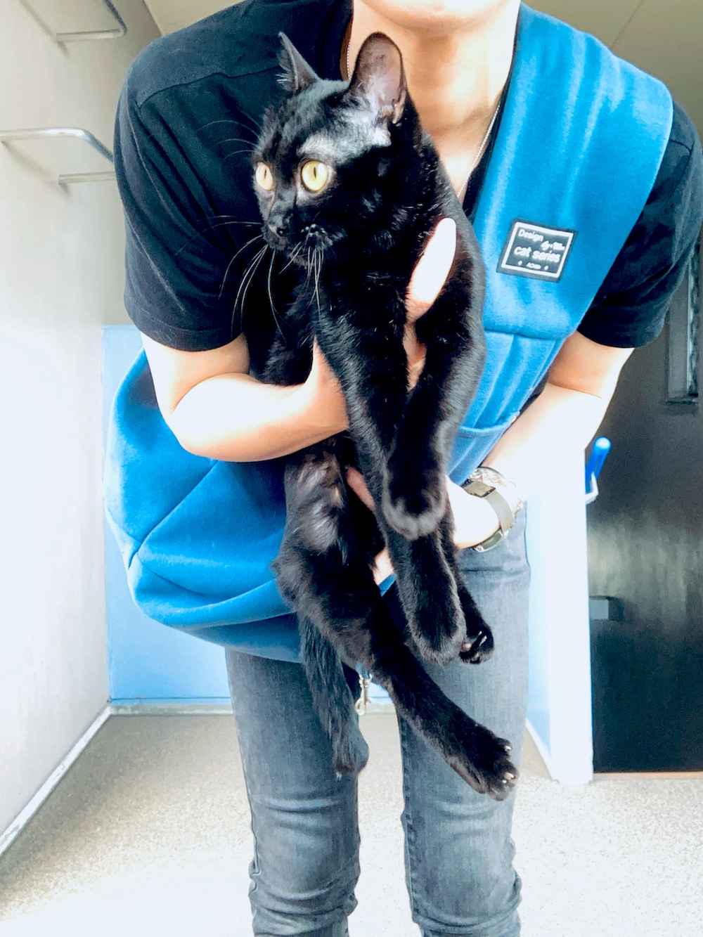 ブラック系のデニムパンツ、ブラック系のショルダーバッグ、ブルー系のその他ペットグッズを着用したレディースの夏コーディネートの2枚目の写真