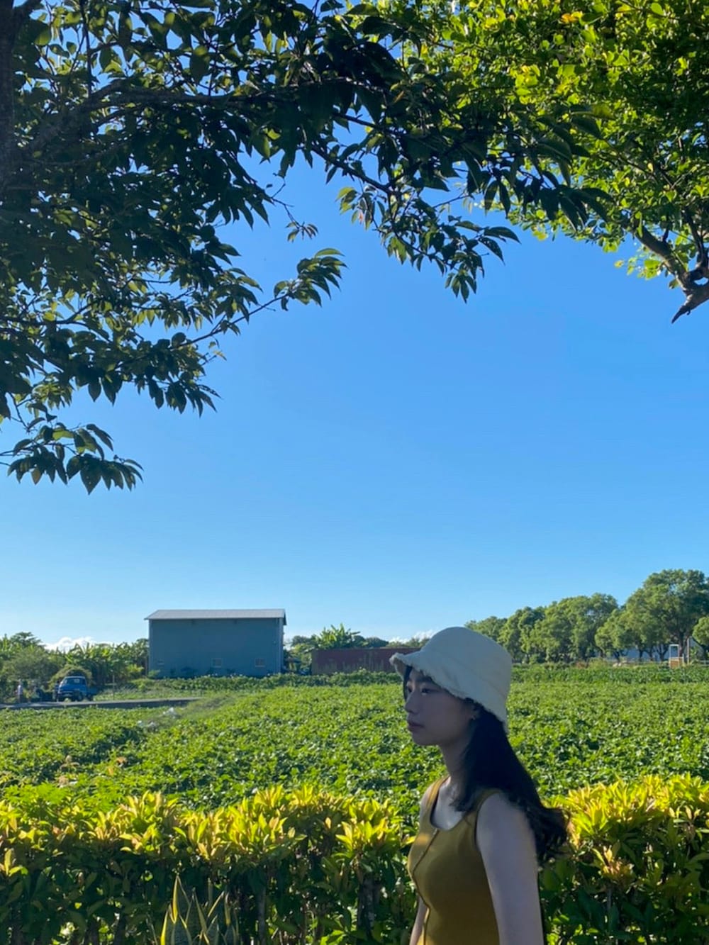 ブラック系のドラムバッグ、ベージュ系のカーゴパンツ、イエロー系のタンクトップを着用したレディースの冬コーディネートの2枚目の写真