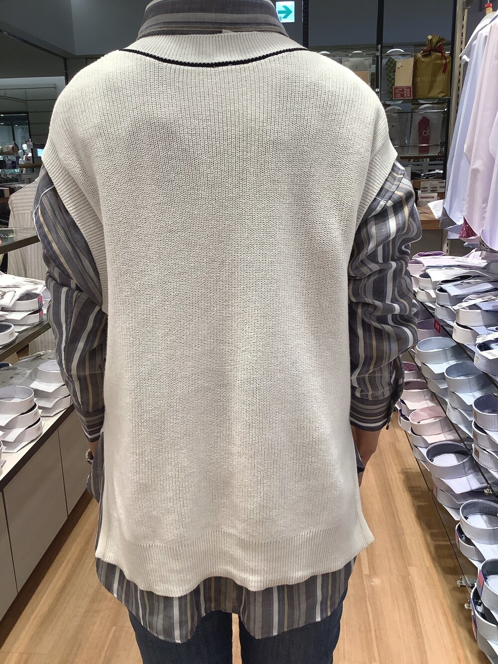 ブルー系のシャツ/ブラウス、ホワイト系のベストを着用したレディースの春コーディネートの3枚目の写真