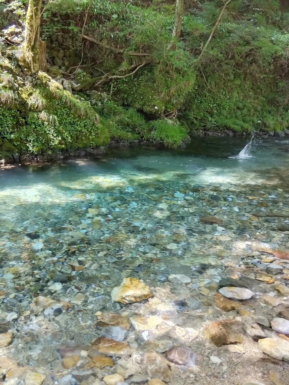ブルー系のTシャツ/カットソー、グリーン系のその他パンツ、ブラック系のサンダルを着用したメンズの夏コーディネートの2枚目の写真