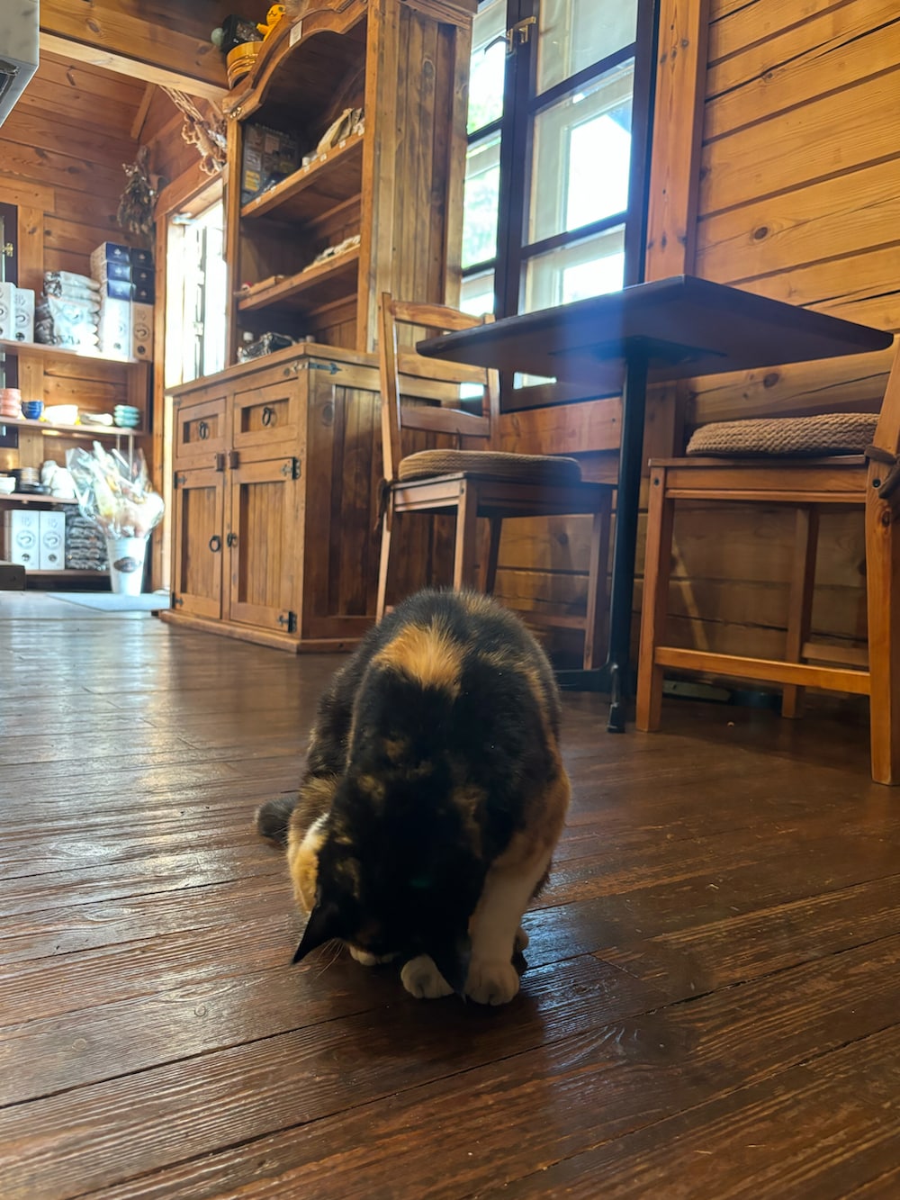 パープル系のシャツ/ブラウス、ブラック系のショルダーバッグ、ブルー系のデニムパンツを着用したレディースの春コーディネートの2枚目の写真