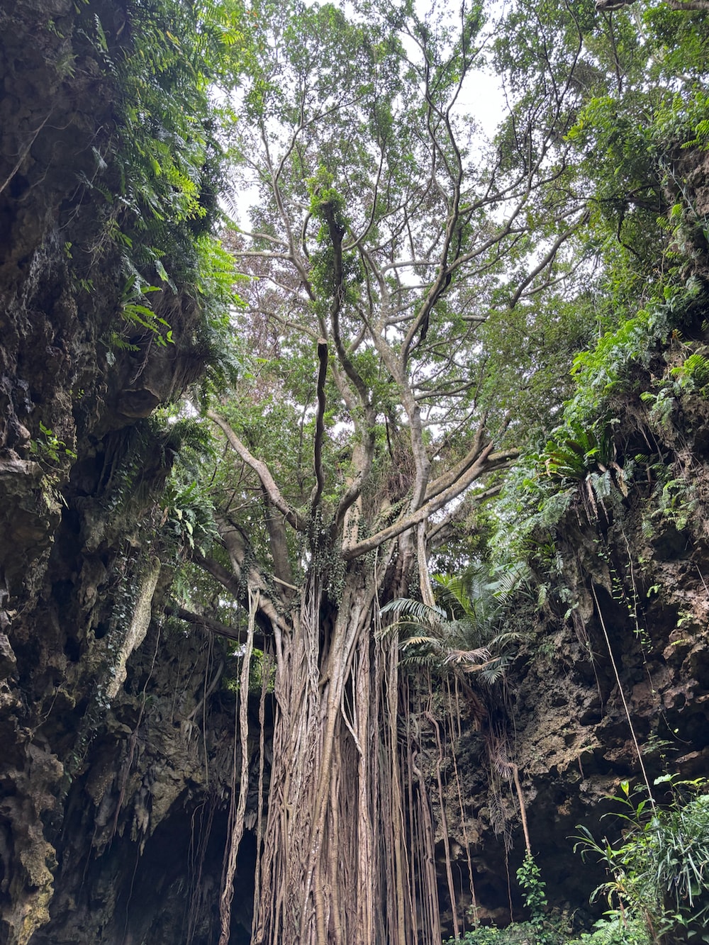 グリーン系のカーゴパンツ、ブルー系のスニーカー、ブラック系のショルダーバッグを着用したレディースの春コーディネートの3枚目の写真