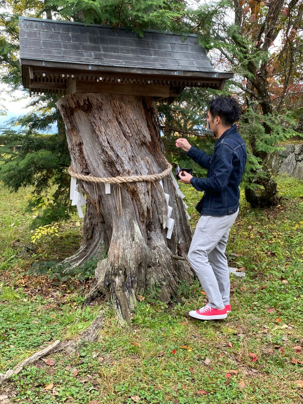 グレー系のその他パンツ、ブルー系のブルゾン、その他のTシャツ/カットソーを着用したメンズの秋コーディネートの2枚目の写真
