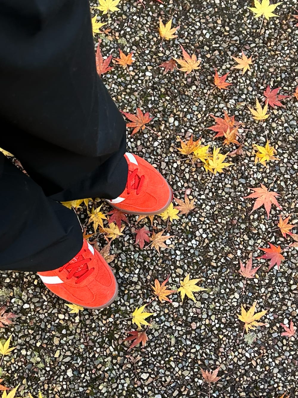 ベージュ系のニット/セーター、ブラック系のショルダーバッグを着用したレディースの秋コーディネートの2枚目の写真