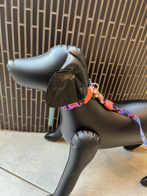 コーディネート