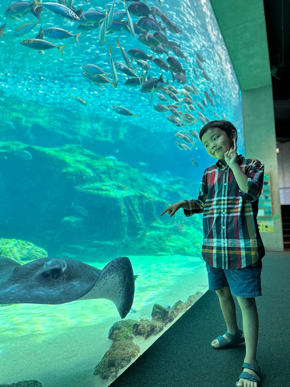 レッド系のシャツ/ブラウス、レッド系のシャツ/ブラウス、ブルー系のその他パンツを着用したキッズの秋コーディネートの2枚目の写真