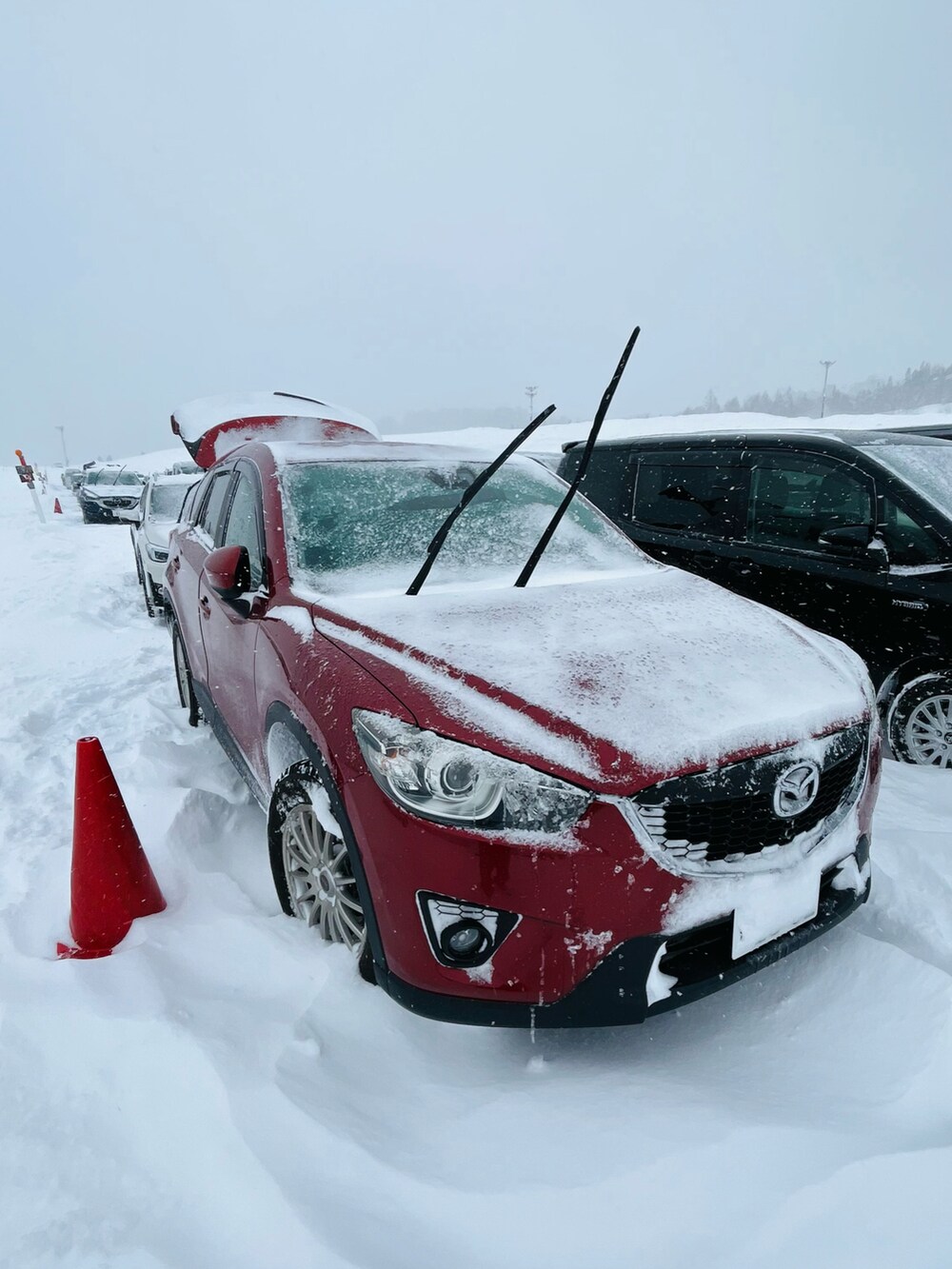 ブラック系のパーカー、ブラック系のスポーツグッズ、ピンク系のサングラスを着用したメンズの冬コーディネートの2枚目の写真