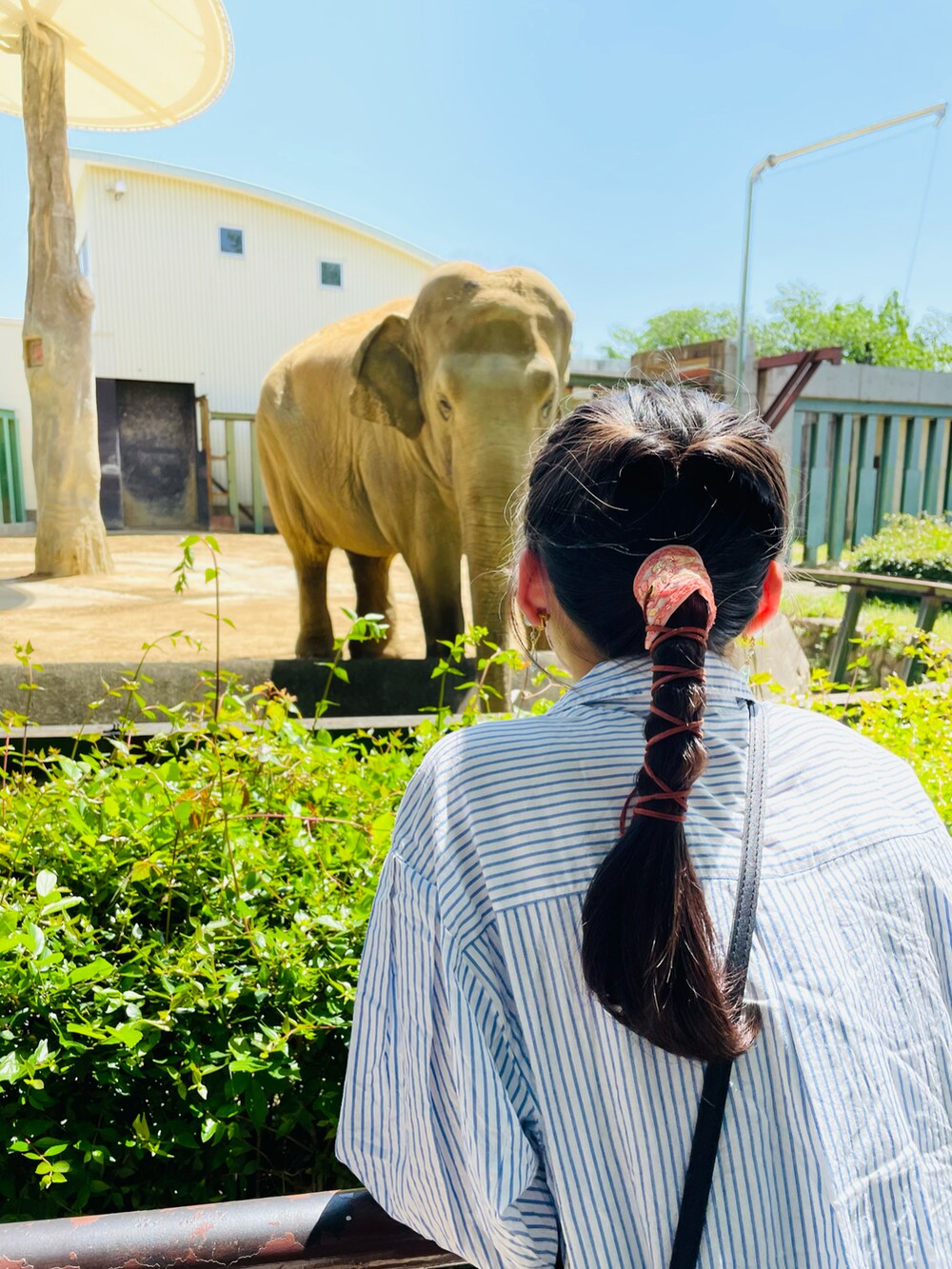 ブルー系のシャツワンピース、ブラック系のハンドバッグ、ブルー系のデニムパンツを着用したキッズの春コーディネートの2枚目の写真