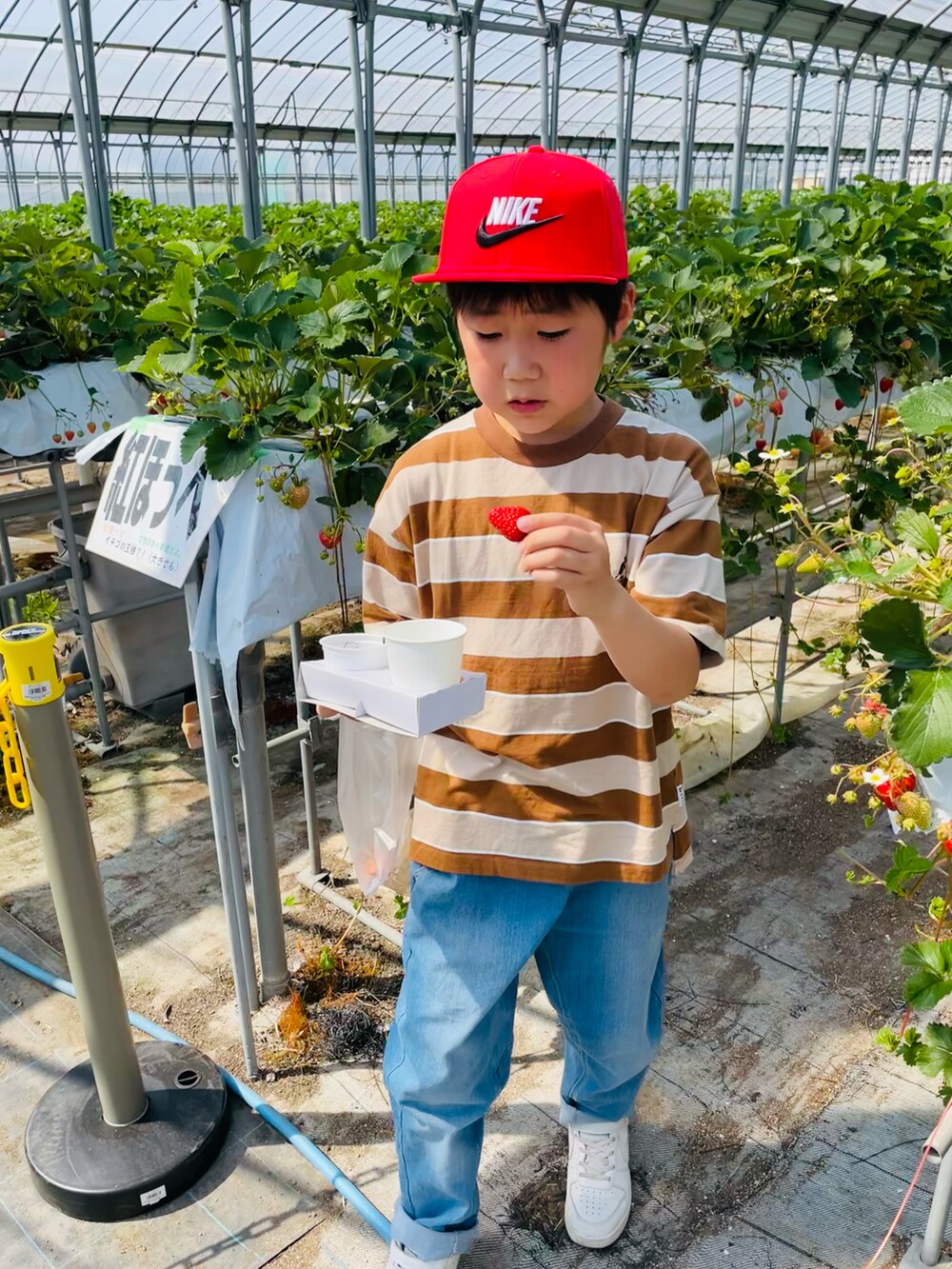 ブラウン系のTシャツ/カットソー、ブルー系のデニムパンツ、ホワイト系のスニーカーを着用したキッズの春コーディネートの2枚目の写真