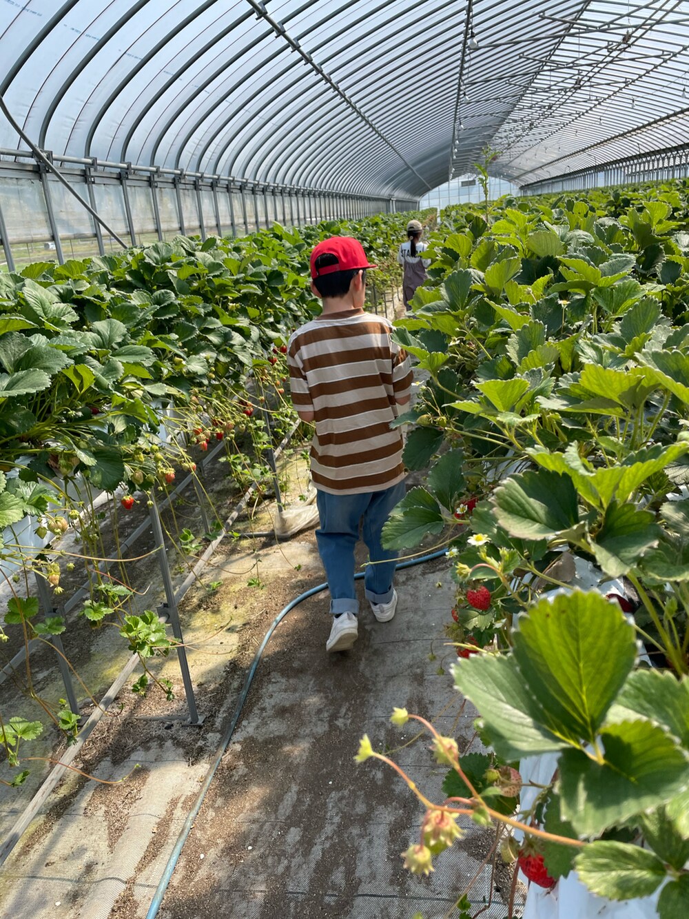 ブラウン系のTシャツ/カットソー、ブルー系のデニムパンツ、ホワイト系のスニーカーを着用したキッズの春コーディネートの3枚目の写真