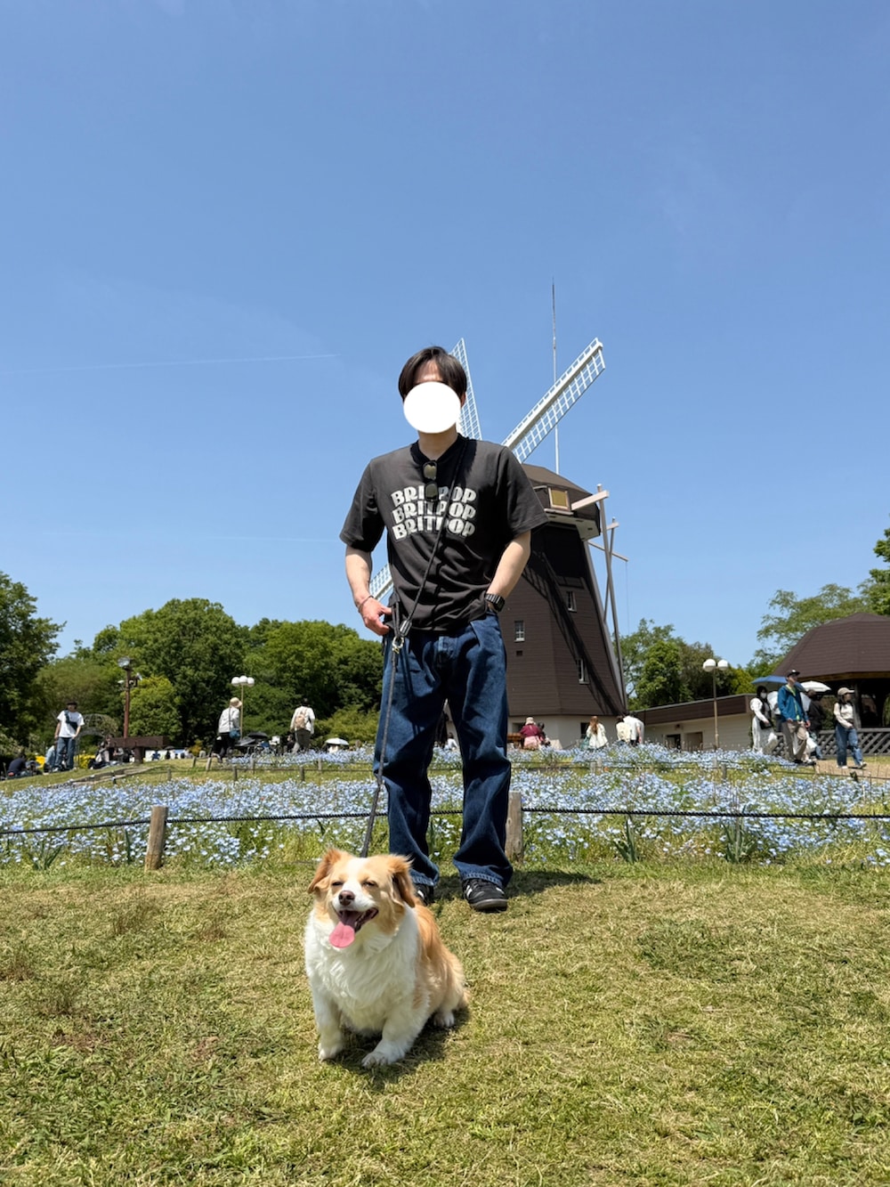 ブルー系のデニムパンツ、ブラック系のスニーカー、ブラック系のTシャツ/カットソーを着用したメンズの春コーディネートの2枚目の写真