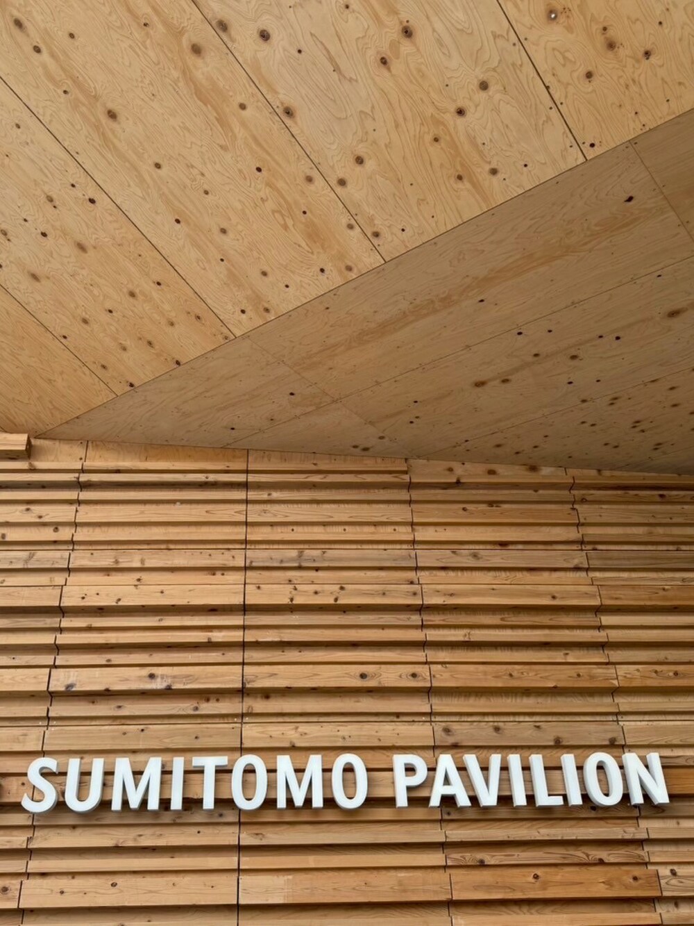 ブラック系のその他パンツ、ブラック系のスニーカー、ブラック系のTシャツ/カットソーを着用したメンズの秋コーディネートの3枚目の写真