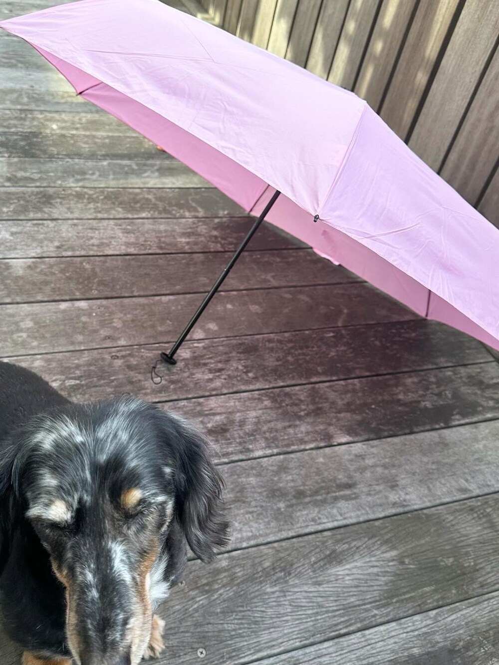 ピンク系の折りたたみ傘を着用したレディースの冬コーディネートの4枚目の写真