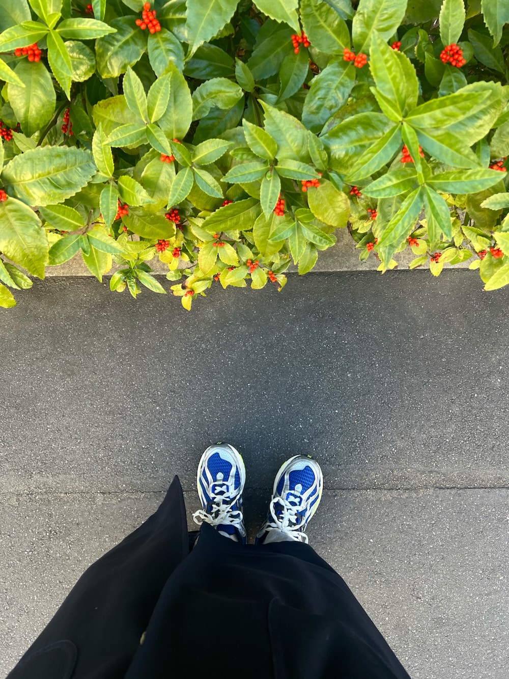 ブルー系のジャケット/アウター、グレー系のワンピース、ブルー系のスニーカーを着用したレディースの冬コーディネートの2枚目の写真