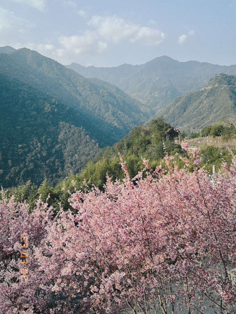 ホワイト系のショルダーバッグ、ピンク系のスニーカーを着用したレディースの春コーディネートの4枚目の写真