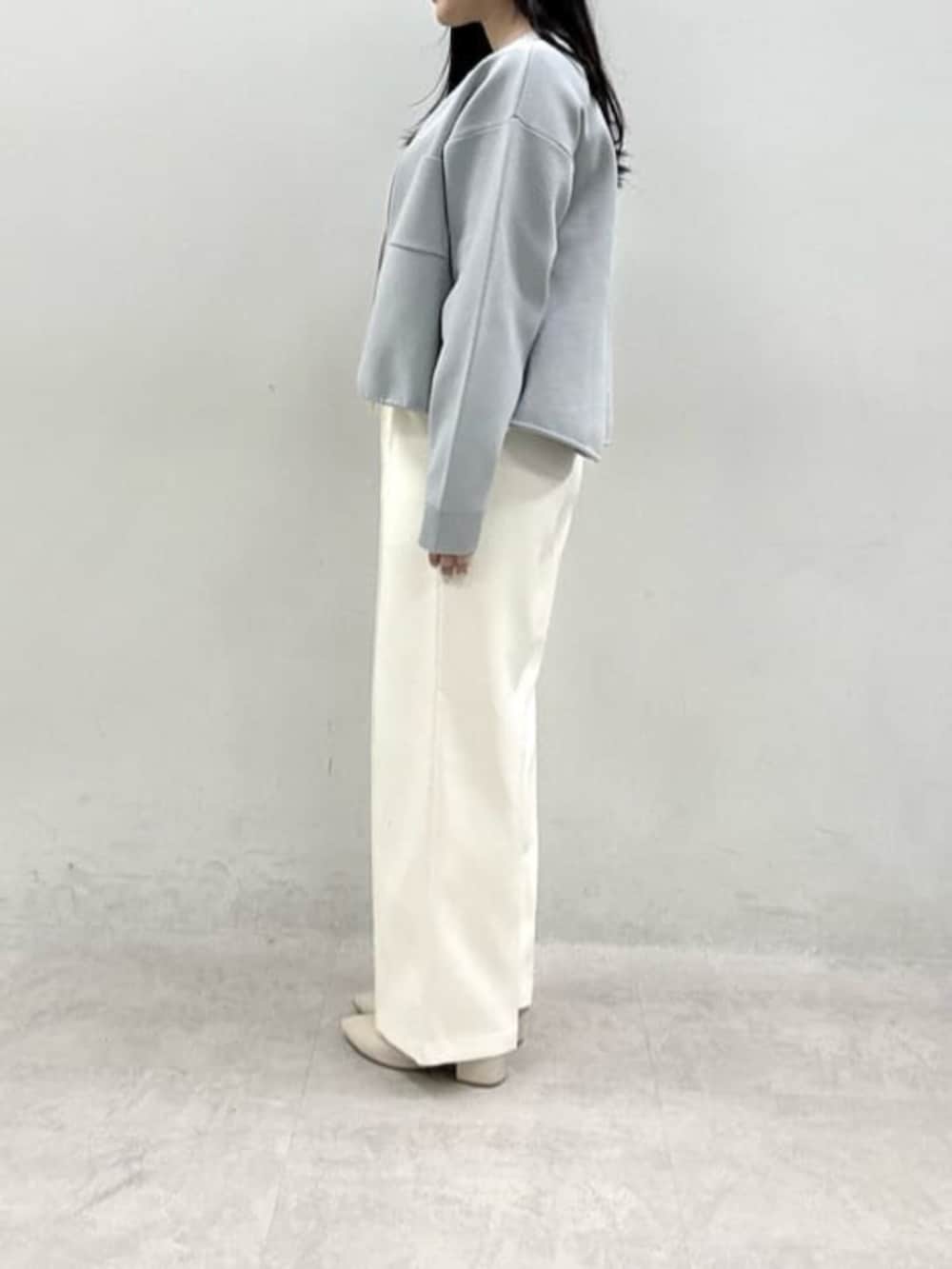 ホワイト系のTシャツ/カットソー、ホワイト系のスラックス、ブルー系のブルゾンを着用したレディースの春コーディネートの3枚目の写真