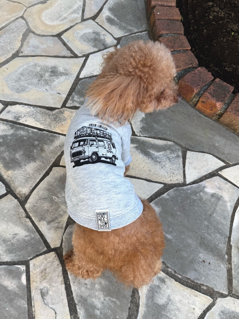 グレー系のペットウェアを着用したメンズの秋コーディネートの2枚目の写真