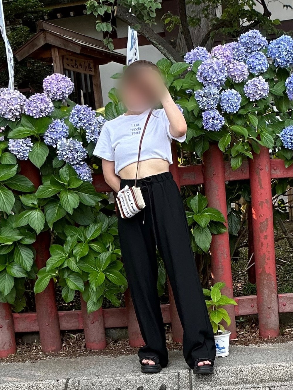 「紫陽花、クロップドTシャツ、クロップド丈、Tシャツ、白Tシャツ、スウェット、スウェットパンツ、リブパンツ、白、黒、モノトーン、スポーツサンダル、夏、アウトドアスタイル、シンプルスタイル」｜「Luamodaのアイテム（Tシャツ/カットソー、ホワイト系）」を使った、♡︎さん（レディース・151cm）の秋コーディネートの2枚目の写真