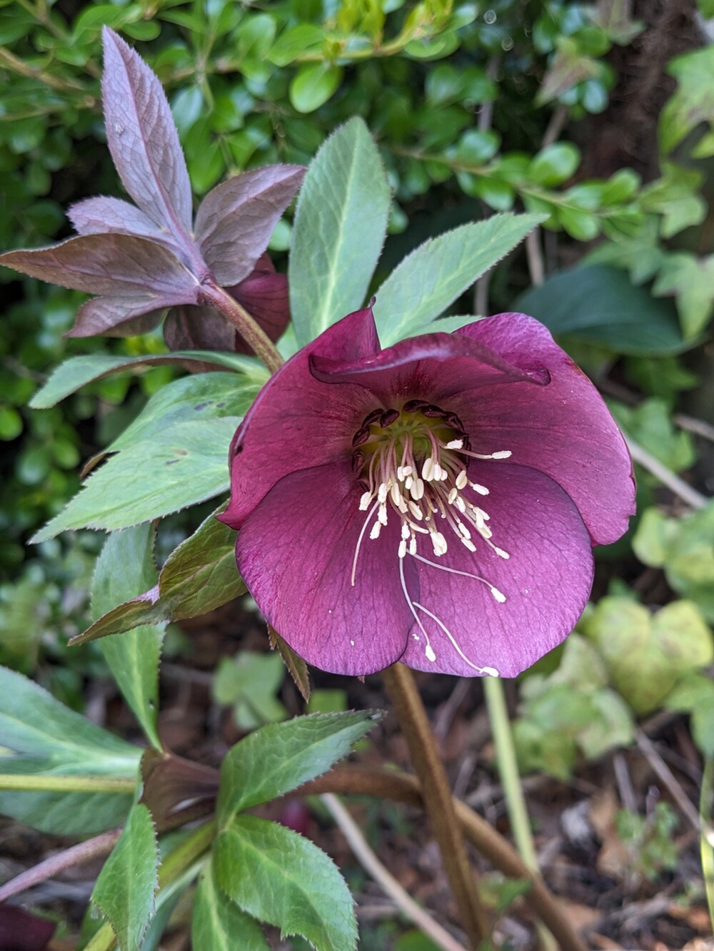 グリーン系のジャケット/アウター、グレー系のTシャツ/カットソー、ブラック系のデニムパンツを着用したメンズの春コーディネートの4枚目の写真