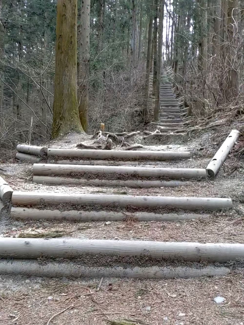 ブルー系のシャツ/ブラウス、ブラック系のパンツ、ブラック系のスニーカーを着用したメンズの春コーディネートの3枚目の写真