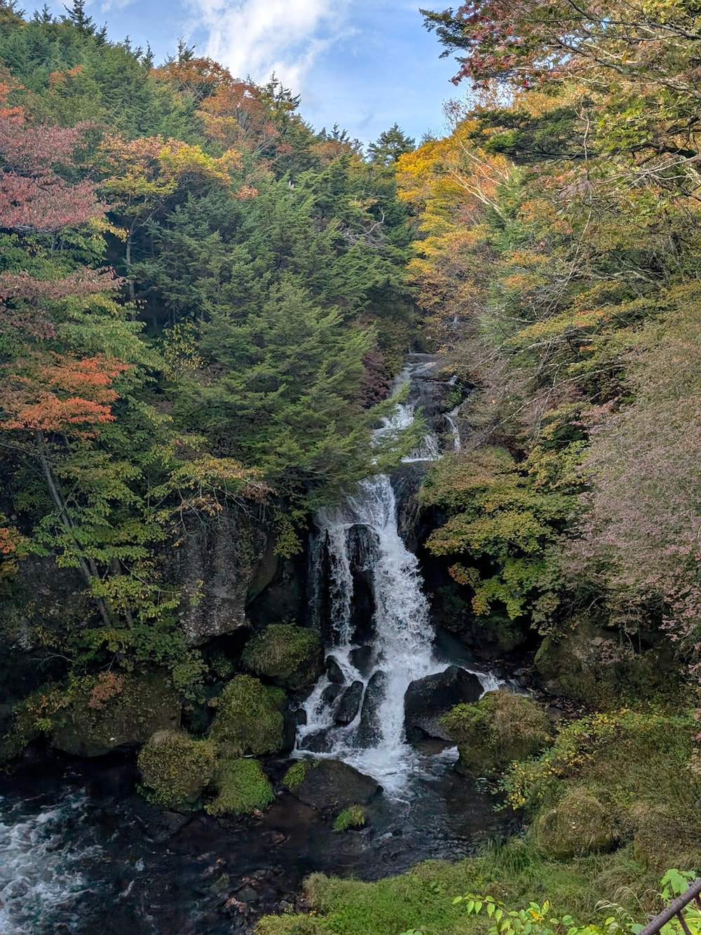 イエロー系のナイロンジャケット、ブルー系のその他パンツ、グリーン系のシャツ/ブラウスを着用したメンズの秋コーディネートの2枚目の写真