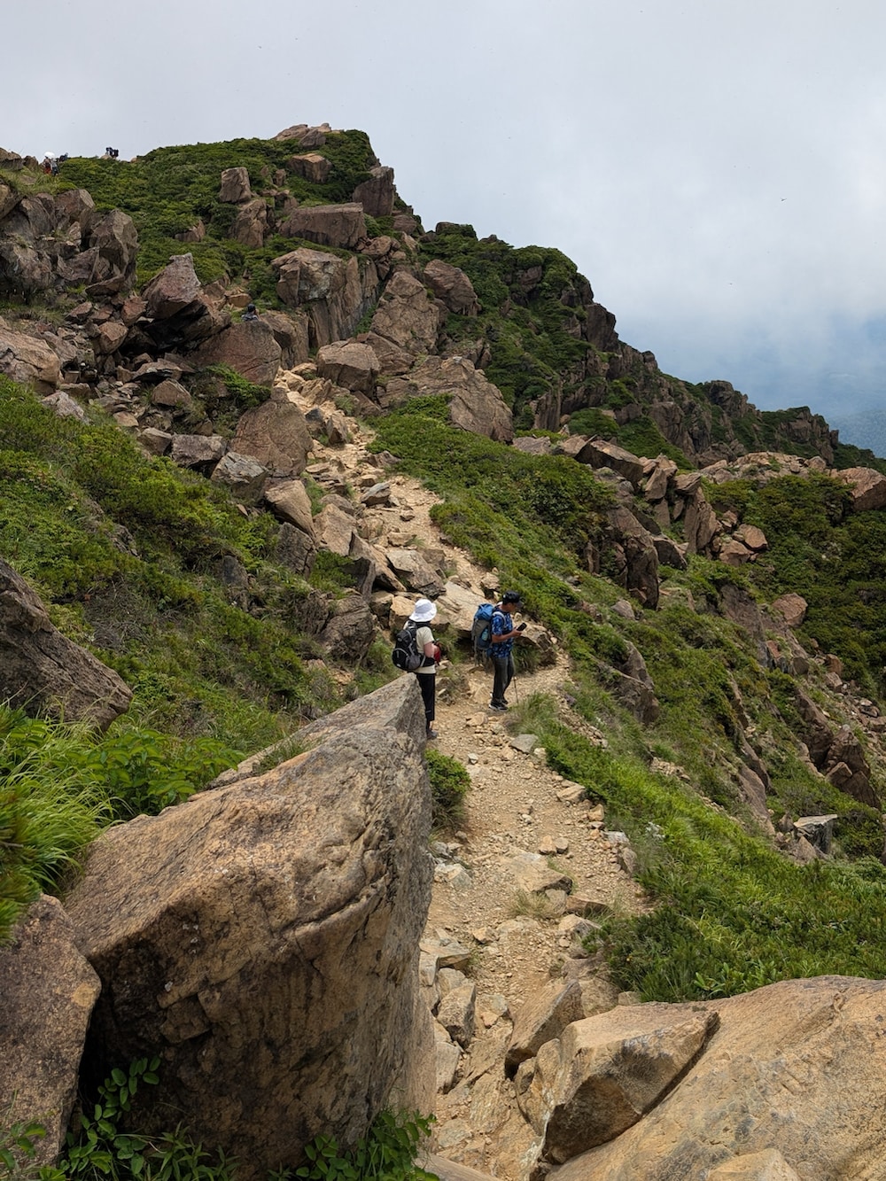 ブラウン系のTシャツ/カットソー、ベージュ系のその他パンツ、ブラウン系のバックパック/リュックを着用したメンズの夏コーディネートの5枚目の写真