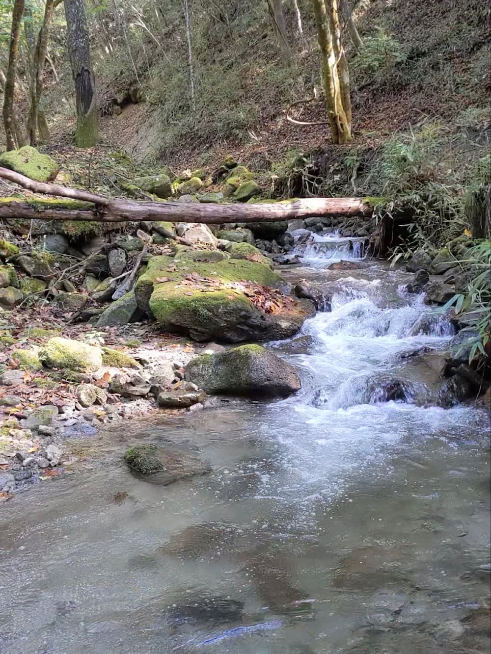 グレー系のその他パンツ、グリーン系のシャツ/ブラウス、ホワイト系のバックパック/リュックを着用したメンズの秋コーディネートの3枚目の写真