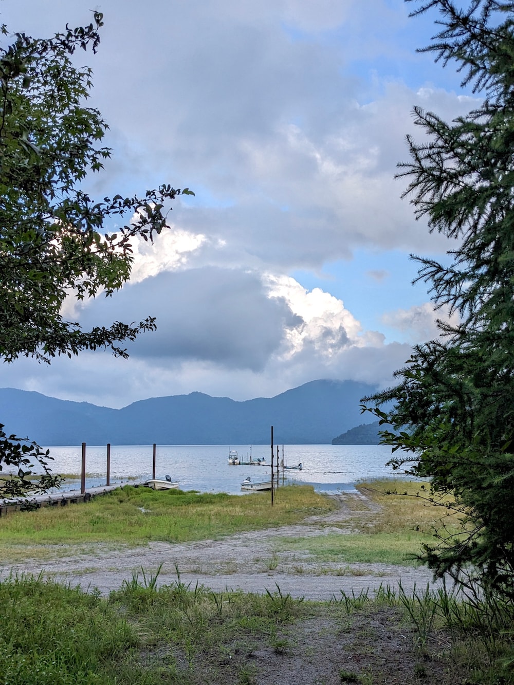 ベージュ系のTシャツ/カットソー、ベージュ系のその他パンツ、ブラック系のスニーカーを着用したメンズの夏コーディネートの2枚目の写真