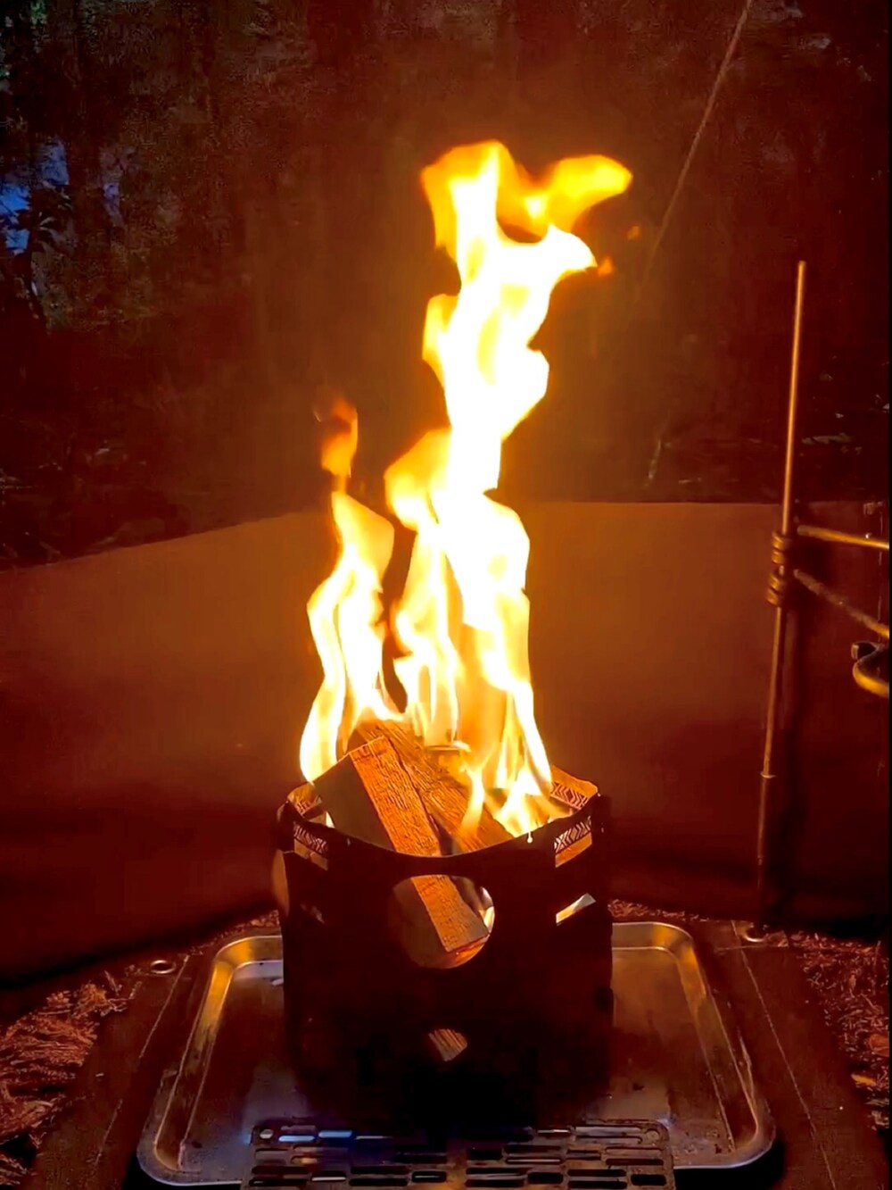 グリーン系のサロペット/オーバーオール、ベージュ系のTシャツ/カットソー、グリーン系のその他シューズを着用したメンズの春コーディネートの3枚目の写真