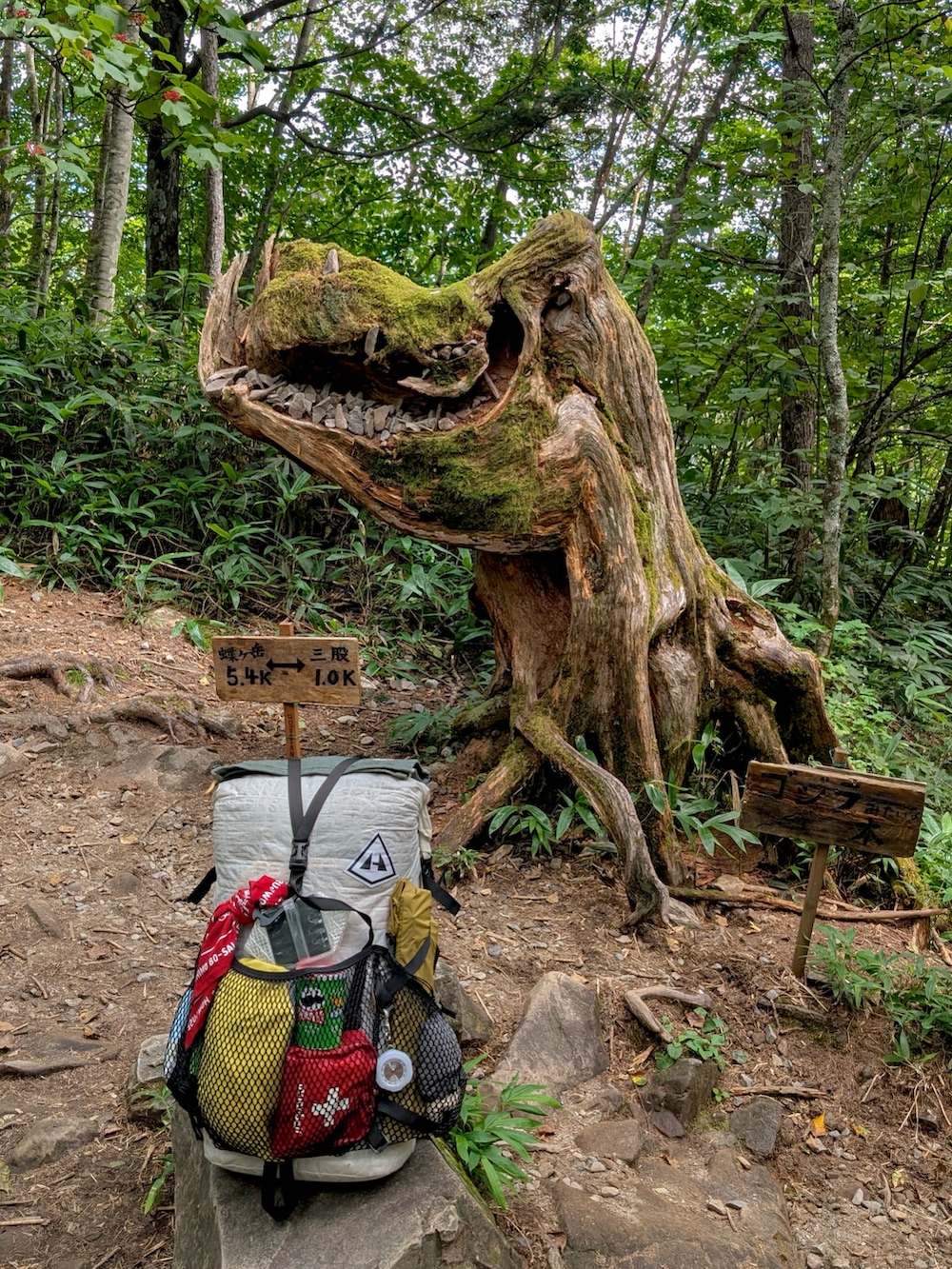 ピンク系のその他パンツ、グリーン系のシャツ/ブラウス、イエロー系のジャケット/アウターを着用したメンズの秋コーディネートの3枚目の写真