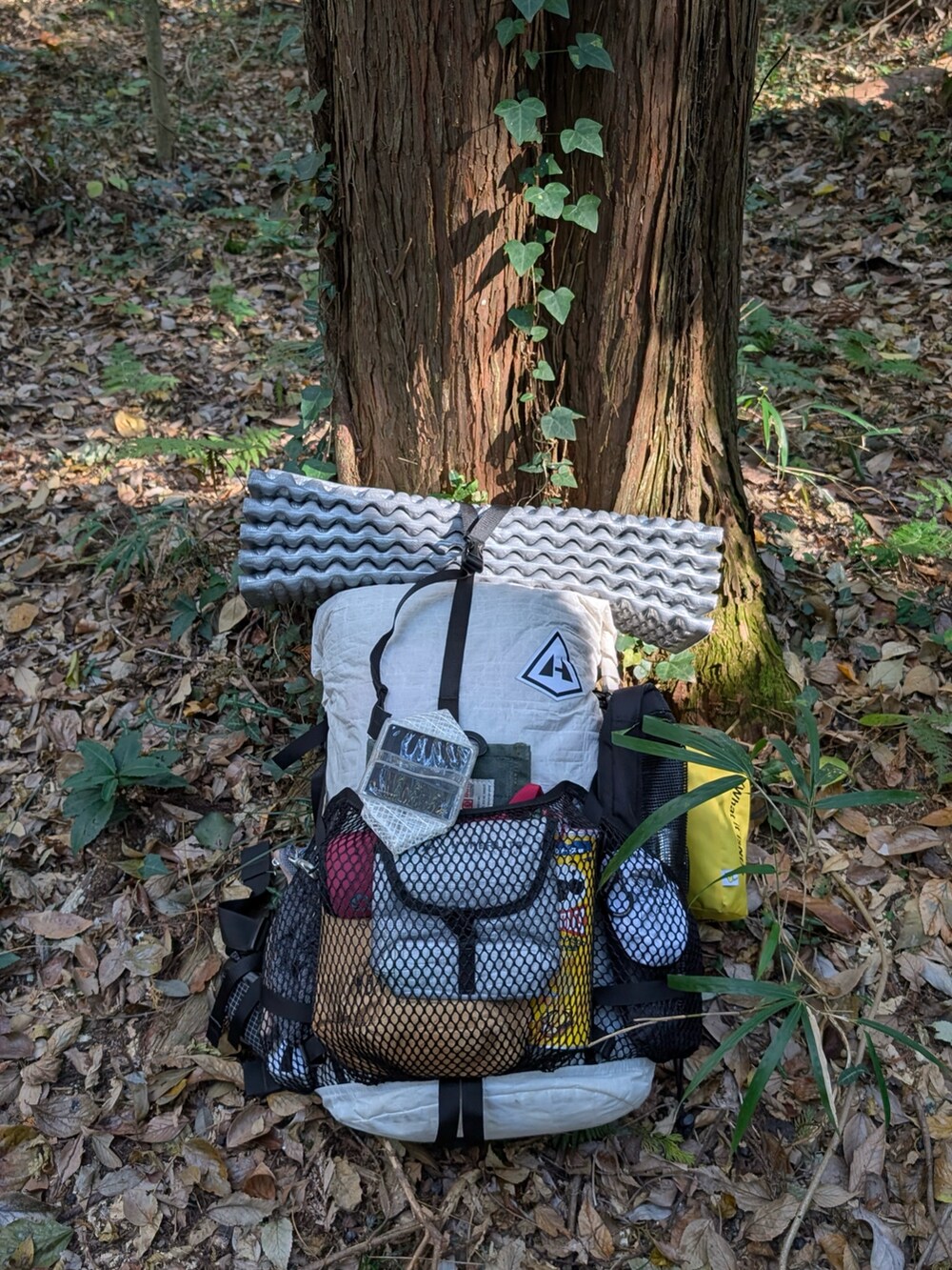 ホワイト系のその他パンツ、グレー系のスウェット、ホワイト系のバックパック/リュックを着用したメンズの秋コーディネートの3枚目の写真