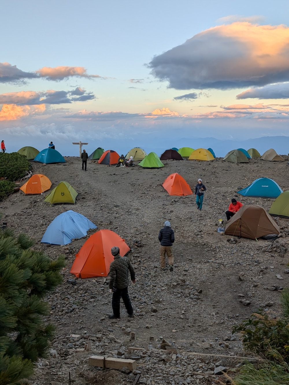 ピンク系のその他パンツ、グリーン系のシャツ/ブラウス、イエロー系のジャケット/アウターを着用したメンズの秋コーディネートの5枚目の写真
