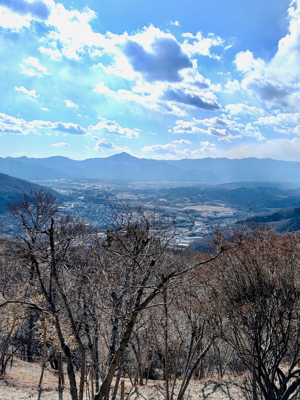 グレー系のスニーカー、グレー系のその他パンツ、ブルー系のニット/セーターを着用したメンズの冬コーディネートの3枚目の写真