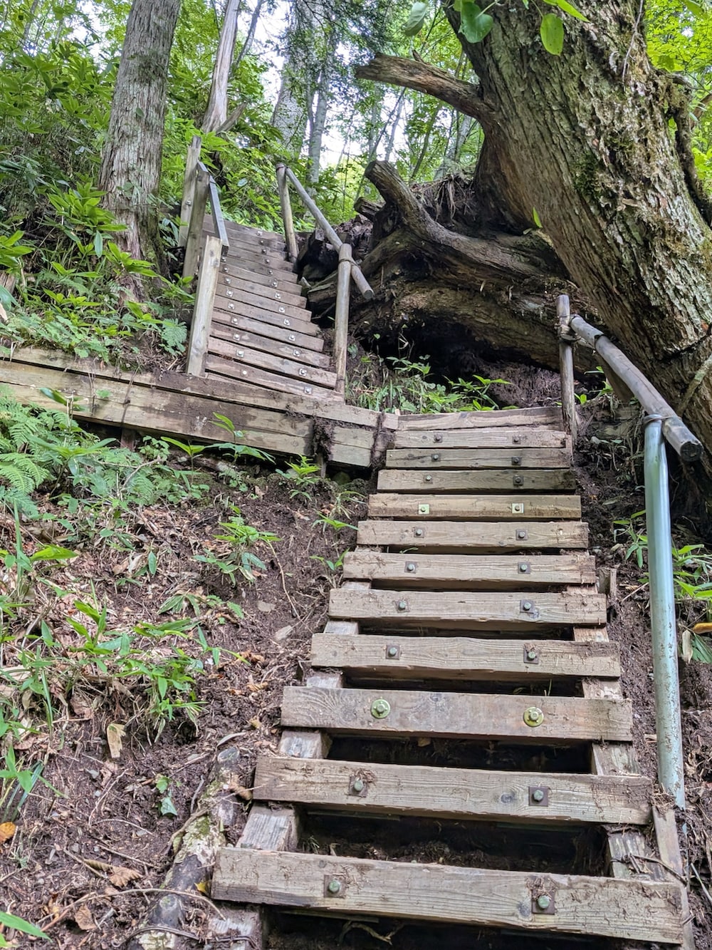 ピンク系のその他パンツ、グリーン系のシャツ/ブラウス、イエロー系のジャケット/アウターを着用したメンズの秋コーディネートの2枚目の写真