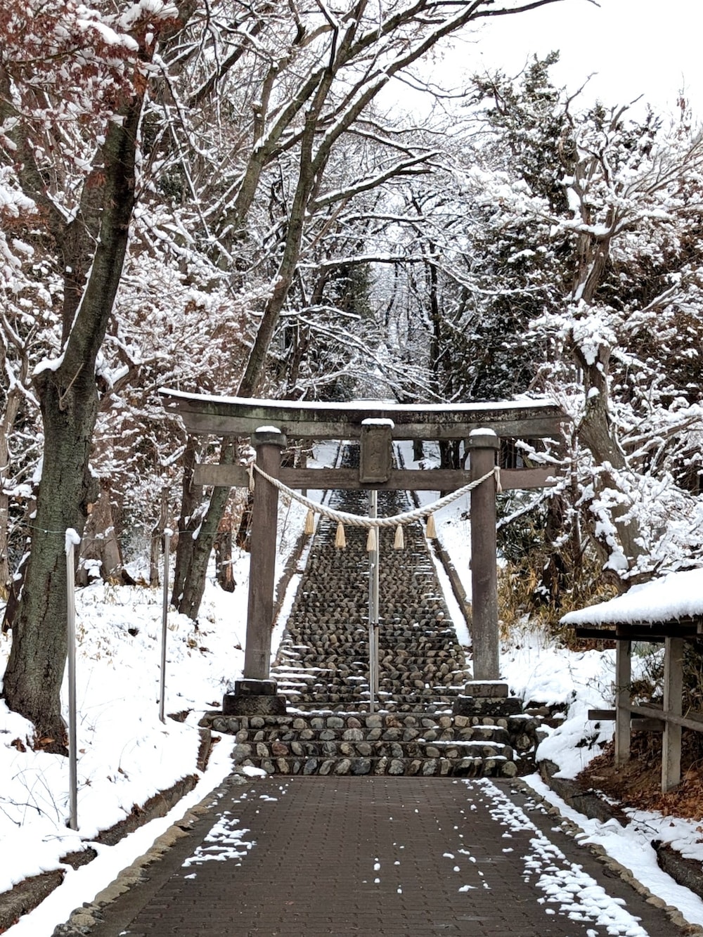グリーン系のジャケット/アウター、ブラック系のパンツ、ブラック系のスニーカーを着用したメンズの冬コーディネートの2枚目の写真