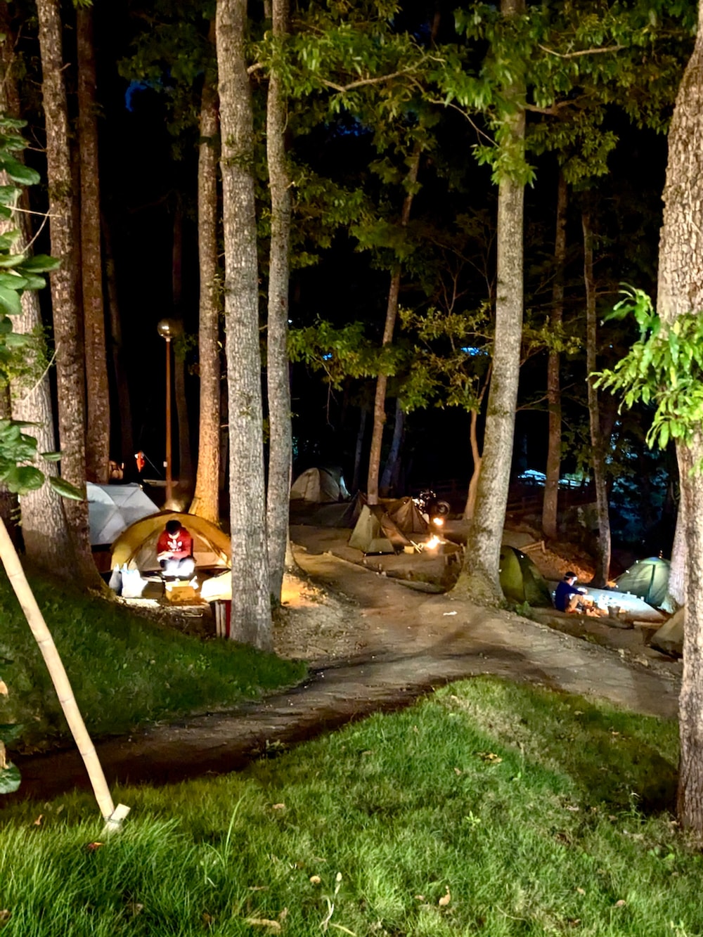 グリーン系のマウンテンパーカー、グレー系のその他パンツ、グリーン系のその他シューズを着用したメンズの秋コーディネートの2枚目の写真