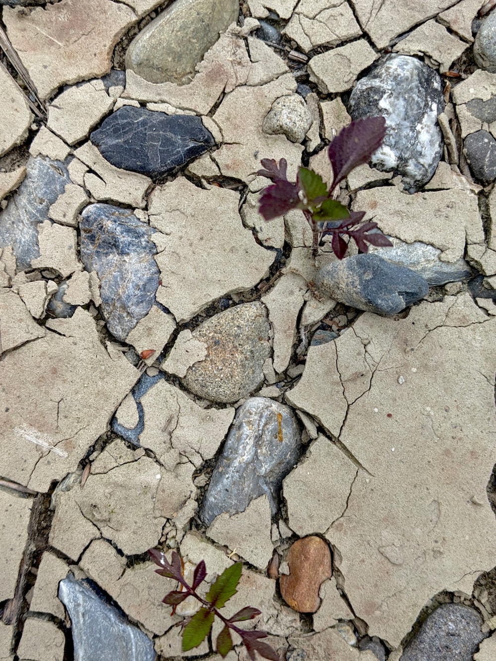 ホワイト系のTシャツ/カットソー、その他のダウンジャケット/コート、ベージュ系のチノパンツを着用したメンズの春コーディネートの2枚目の写真