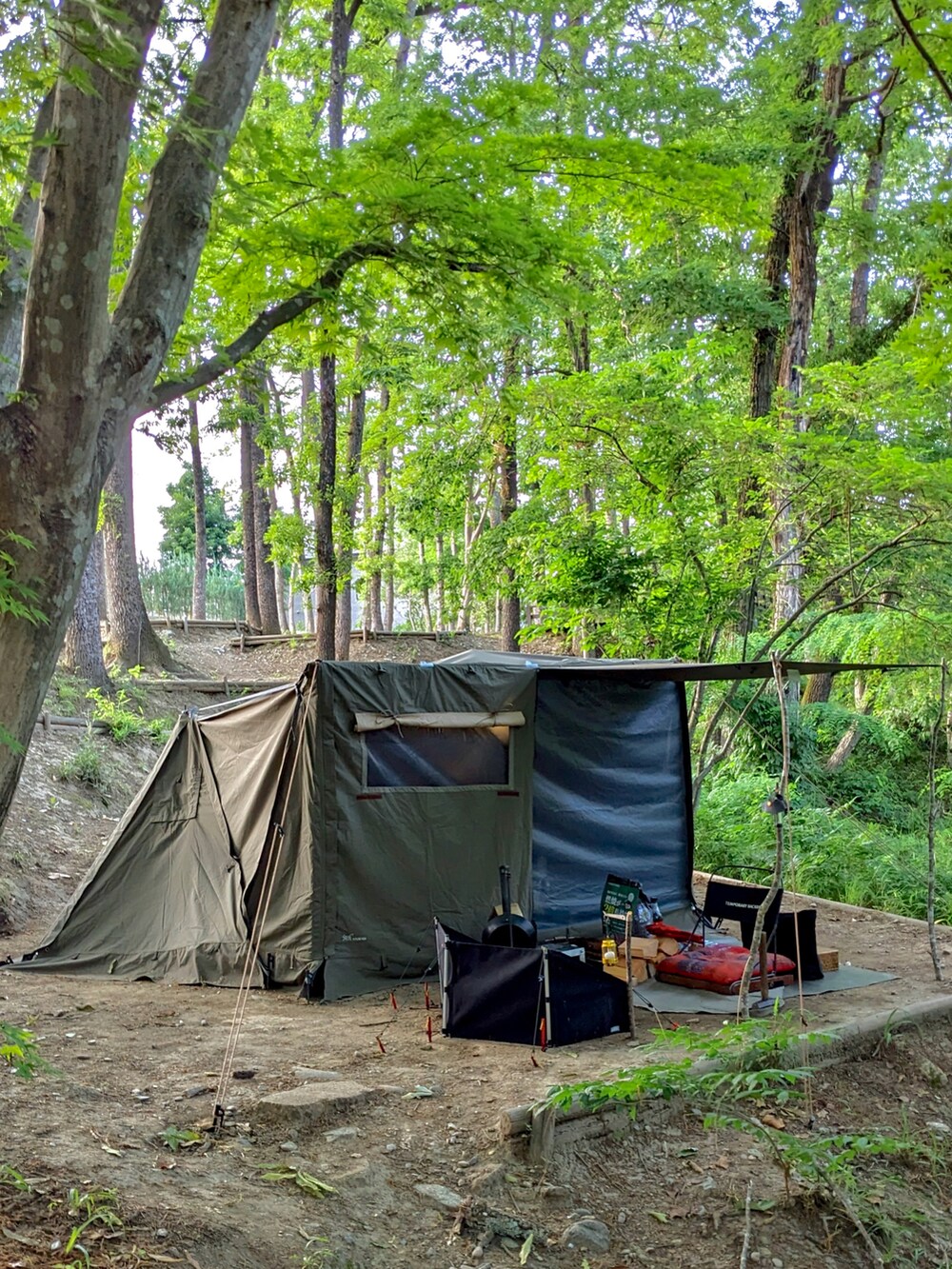 ホワイト系のTシャツ/カットソー、その他のダウンジャケット/コート、ベージュ系のチノパンツを着用したメンズの春コーディネートの5枚目の写真
