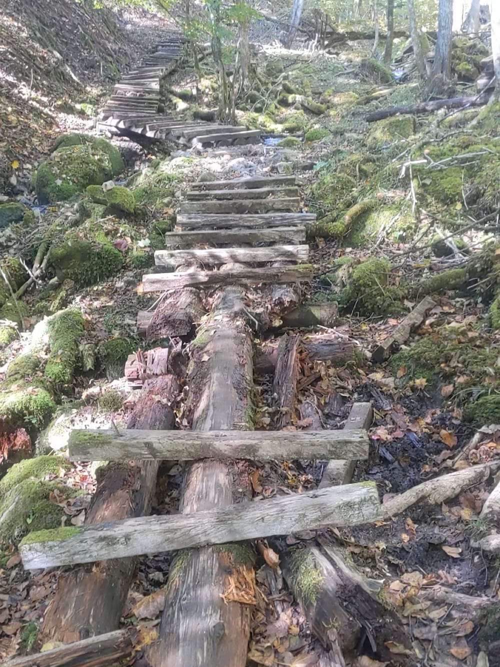 グレー系のその他パンツ、グリーン系のシャツ/ブラウス、ホワイト系のバックパック/リュックを着用したメンズの秋コーディネートの4枚目の写真